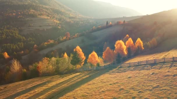Lindo Dia Outono Nas Montanhas Partir Vista Pássaro Filmado Vídeo — Vídeo de Stock