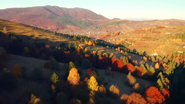 晨光下翻滚的群山的秋景 以4K 无人驾驶视频拍摄 — 图库视频影像
