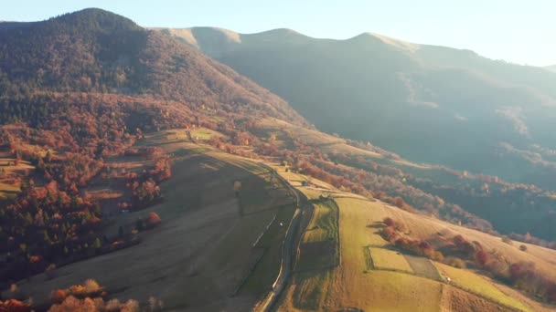 Φθινοπωρινή Σκηνή Ενός Κυλιόμενου Λόφου Στο Πρωινό Φως Κινηματογραφήθηκε Drone — Αρχείο Βίντεο