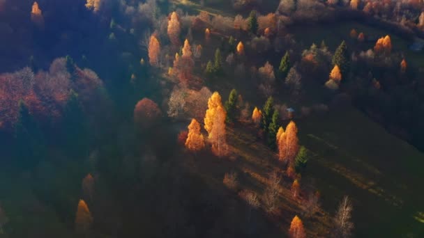 Gorgeous Autumn Day Mountains Bird Eye View Filmed Drone Video — Stock Video