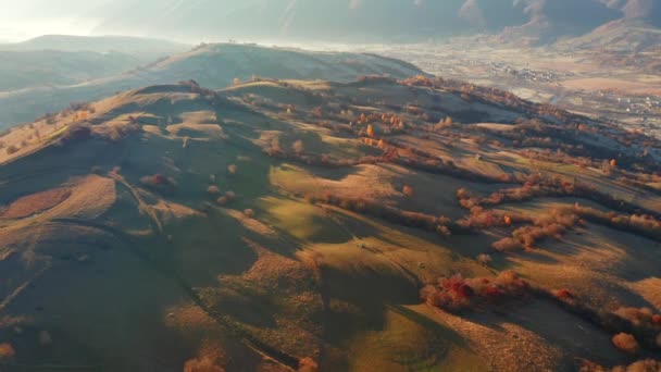 Autumn Scene Rolling Hills Morning Light Filmed Drone Video — Stock Video