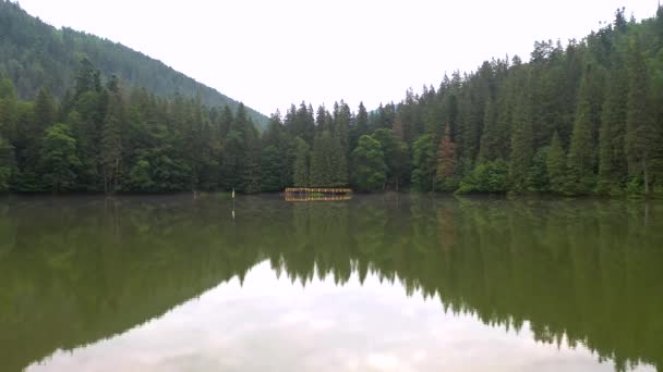 Eine Drohne Fliegt Über Einen Kleinen See Der Von Wald — Stockvideo