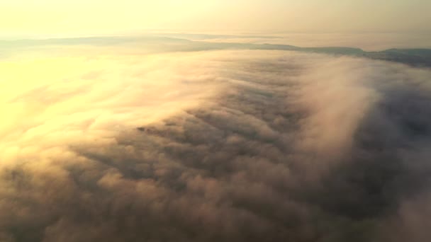 Épais Brouillard Éclairé Par Soleil Enveloppe Les Champs Aube Filmé — Video