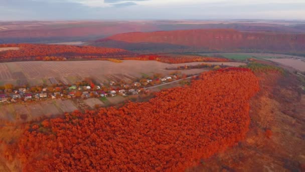 Vista Deslumbrante Drone Voando Sobre Cena Outono Manhã Filmado Vídeo — Vídeo de Stock