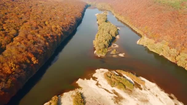 Attraktive Vogelperspektive Auf Den Herbstlichen Wald Der Dnjestr Schlucht Gefilmt — Stockvideo