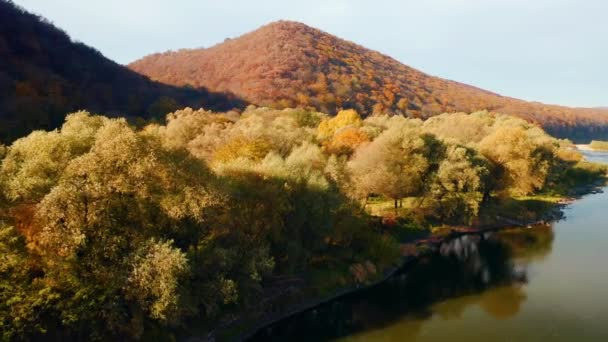 Atrakcyjny Widok Jesienny Las Kanionie Dniestru Nagrywane Wideo Drona — Wideo stockowe