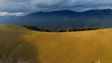 Alp otlağındaki dron panoramik görüntüsü. 4k, İHA videosu.