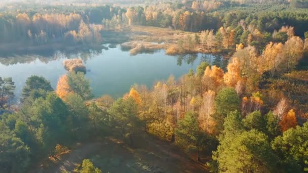 秋の森に囲まれた居心地の良い湖の鳥の目のビュー 4Kで撮影されたドローンビデオ — ストック動画