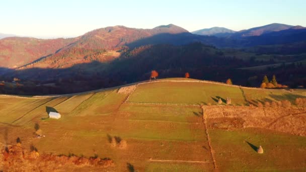 Prachtige Herfst Scène Van Een Glooiende Heuvels Ochtend Licht Gefilmd — Stockvideo