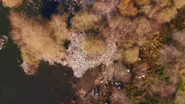 Dron Przelatuje Nad Odpadami Domowymi Nad Brzegiem Jeziora Leśnego Zdjęcia — Wideo stockowe