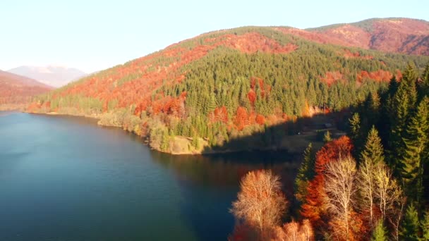 Espléndido Lago Claro Desde Vista Pájaro Filmado Drone Video — Vídeos de Stock