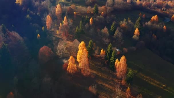 Wspaniały Jesienny Dzień Górach Lotu Ptaka Nagrywane Wideo Drona — Wideo stockowe