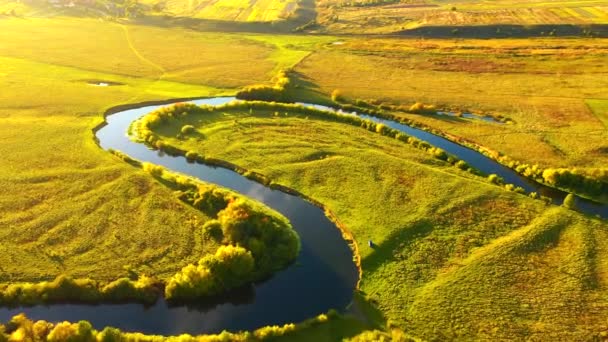 Spektakularna Rzeka Bujnych Zielonych Mokradłach Lotu Ptaka — Wideo stockowe
