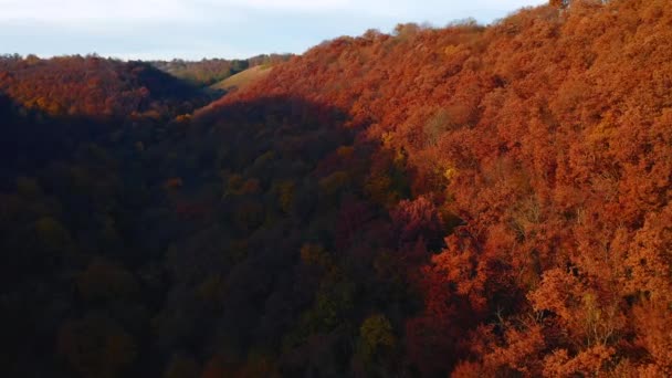 Vue Couper Souffle Sur Forêt Automne Dans Canyon Dniester Filmé — Video
