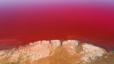Güneşli bir günde pembe bir tuz tabakasının üzerinde uçan bir drondan ateş etmek. 4k 'lık bir videoda çekildi.