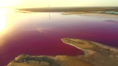 Sakin bir su yüzeyi olan pembe bir tuzlu düzlükte uçan bir drondan ateş etmek. Syvash Gölü, Ukrayna, Avrupa.