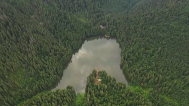 İnsansız hava aracı ormanla çevrili küçük bir göl üzerinde uçuyor. Kuş bakışı. Yer Synevir Gölü, Karpat Dağları, Ukrayna. Sinematik hava çekimi. Toprağın güzelliğini keşfedin. 4k, İHA videosu.