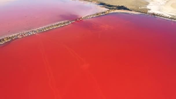 在阳光明媚的一天 一架无人驾驶飞机在粉红色的盐沼上空盘旋时鸣枪示警 以4K视频拍摄 — 图库视频影像