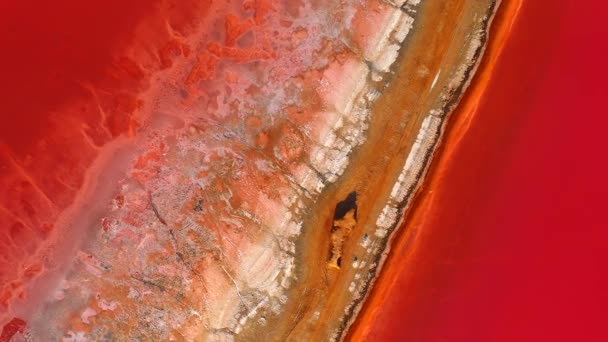Захватывающий Вид Беспилотника Розовом Соленом Болоте Спокойной Поверхностью Воды Озеро — стоковое видео