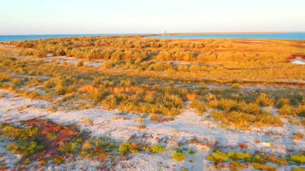 Fågelperspektiv Kurvig Plats Nationalpark Dzharylhach Svarta Havet Ukraina Europa Filmisk — Stockvideo