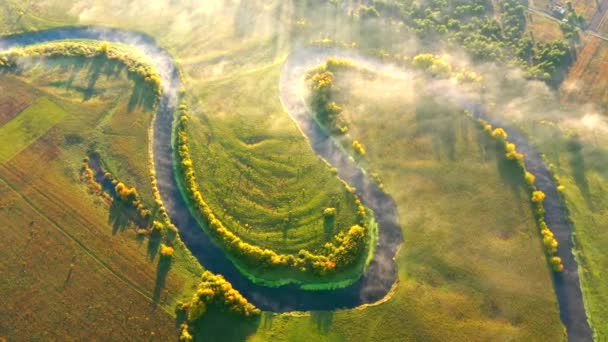 鳥の目のビューから緑豊かな緑の湿地で壮大な巻き川 4Kで撮影されたドローンビデオ — ストック動画