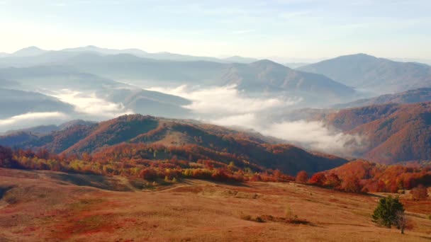 Vista Mozzafiato Dal Drone Nelle Montagne Del Mattino Girato Video — Video Stock