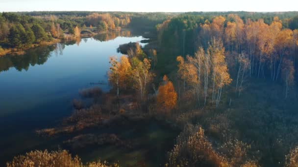 秋の森に囲まれた居心地の良い湖の鳥の目のビュー 4Kで撮影されたドローンビデオ — ストック動画