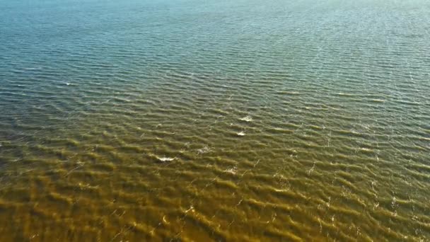 Fuerte Viento Impulsa Olas Través Del Mar — Vídeos de Stock