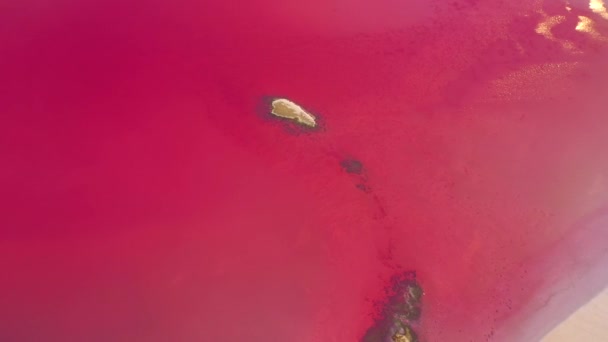 Zapierający Dech Piersiach Widok Drona Różowym Słonym Bagnie Spokojnej Powierzchni — Wideo stockowe