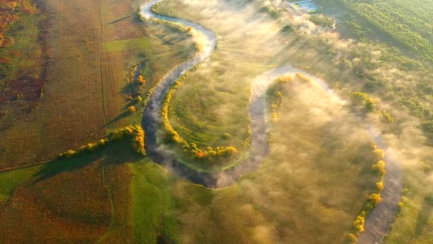 Вид Зверху Вниз Екзотичну Звивисту Річку Протікає Через Зелені Луки — стокове відео