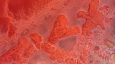 Pembe tuzlu düzlükteki deniz aracının sakin su yüzeyindeki destansı görüntüsü. Syvash Gölü, Ukrayna, Avrupa.