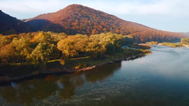 Espléndida Vista Pájaro Del Bosque Otoño Cañón Dniester Filmado Drone — Vídeos de Stock