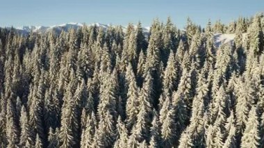Drone soğuk bir günde kış manzarasının üzerinde uçar. 4k, İHA videosu ile çekilmiştir..