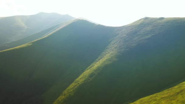 Dia Verão Idílico Com Colinas Verdes Iluminadas Pelo Sol Filmado — Vídeo de Stock