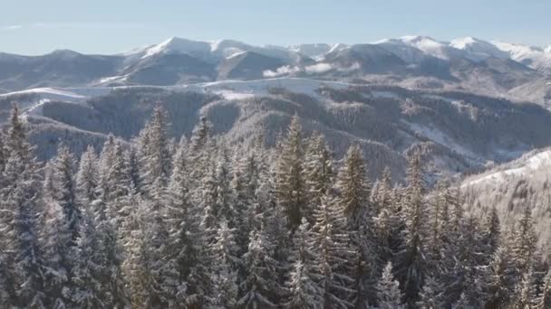 Paesaggio Mozzafiato Una Vista Volo Uccello Sulle Montagne Innevate Una — Video Stock