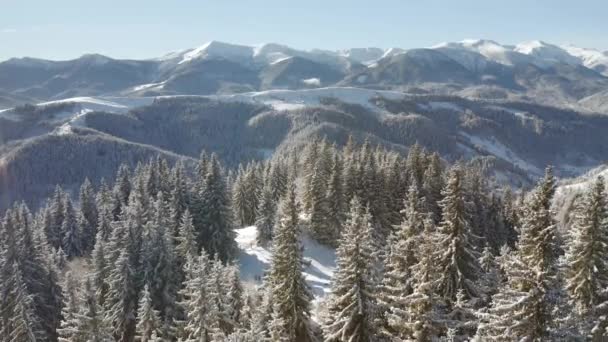 Adembenemend Landschap Vanuit Vogelperspectief Besneeuwde Bergen Een Ijzige Dag Gefilmd — Stockvideo