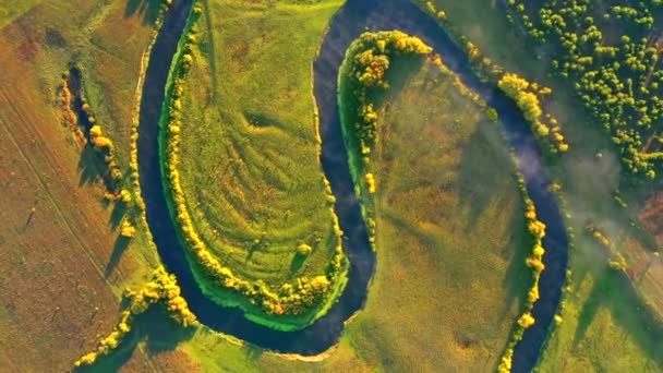 鳥の目のビューから緑豊かな緑の湿地で壮大な巻き川 4Kで撮影されたドローンビデオ — ストック動画
