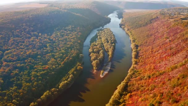 Voo Lento Drone Sobre Floresta Outono Rio Atraente Filmado Vídeo — Vídeo de Stock