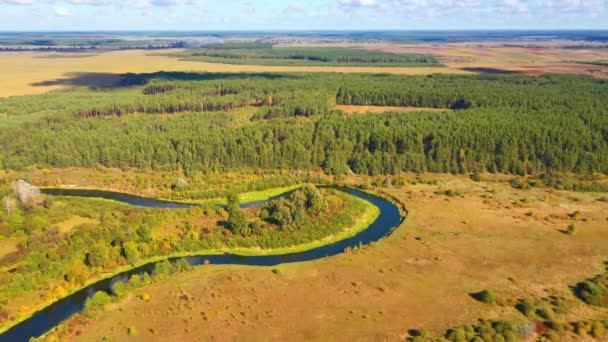 Excelente Vista Rio Sinuoso Área Selvagem Filmado Vídeo Drone — Vídeo de Stock