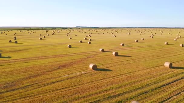 Dron Latający Nad Malowniczymi Terenami Uprawnymi Złotymi Belami Słomy Słoneczny — Wideo stockowe