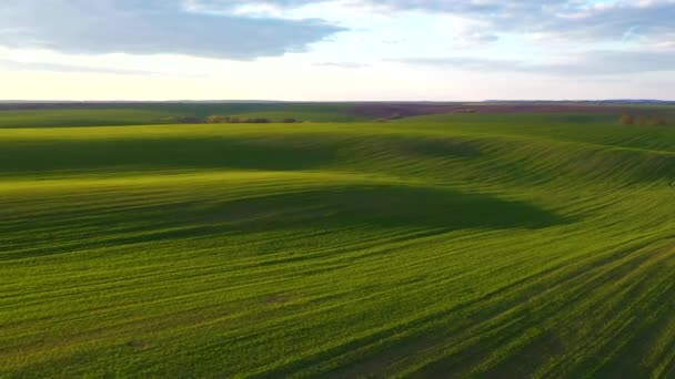 Utmerket Sommerbilde Bølgende Åser Med Jordbruksområde Sett Fra Fugleperspektiv Filmet – stockvideo