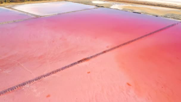 Shooting Drone Flying Pink Salt Marsh Sunny Day Filmed Video — Stock Video