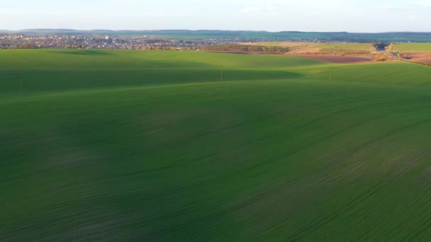 阳光灿烂的日子里 美丽的农田和碧绿波浪形的田野 以4K无人机视频拍摄 — 图库视频影像