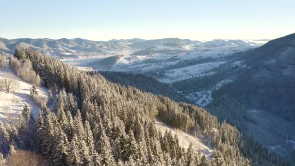 Häpnadsväckande Landskap Från Fågelperspektiv Snöiga Berg Kylig Dag Inspelning Från — Stockvideo