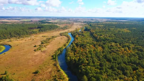 野生地域の巻き川の素晴らしい景色 撮影4K ドローンビデオ — ストック動画