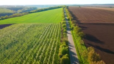 Bir İHA tarımsal bir bölgeden geçen bir kır yolunun üzerinden uçuyor. 4k insansız hava aracı videosunda çekildi.