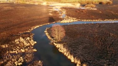 Seret nehrinin doğal koruma alanındaki yanmış kuru otlar, kuş bakışı bir bakış açısından. UHD 4k video ile çekildi.