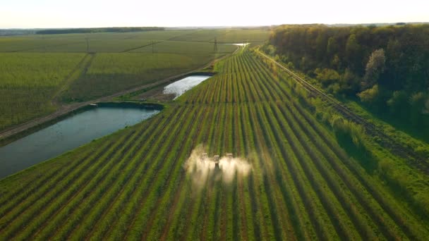 Maquinaria Agrícola Rociando Huertos Con Herbicidas Pesticidas Atardecer Filmado Vídeo — Vídeos de Stock