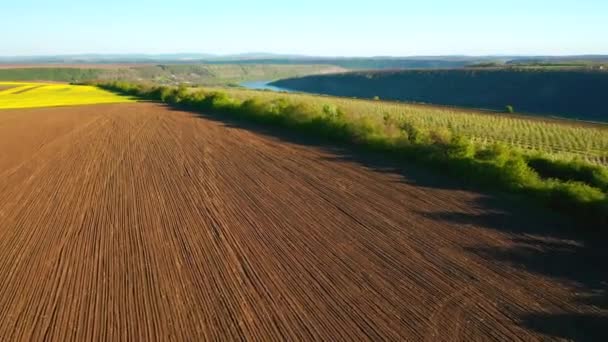 Wspaniały Widok Ogród Kwitnącymi Drzewami Słoneczny Dzień Nagrywane Wideo Drona — Wideo stockowe