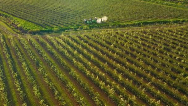 Máquinas Agrícolas Pulverizando Pomares Com Herbicidas Pesticidas Pôr Sol Filmado — Vídeo de Stock